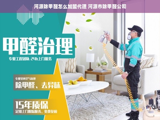 河源除甲醛怎么加盟代理 河源市除甲醛公司