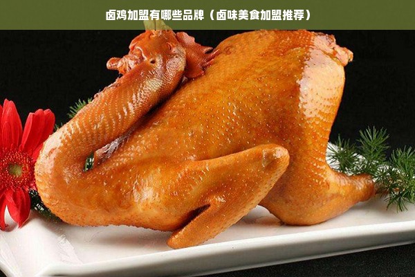 卤鸡加盟有哪些品牌（卤味美食加盟推荐）