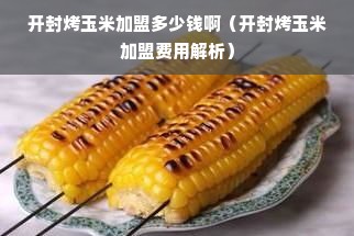 开封烤玉米加盟多少钱啊（开封烤玉米加盟费用解析）