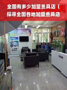 全国有多少加盟鱼具店（探寻全国各地加盟鱼具店的数量）