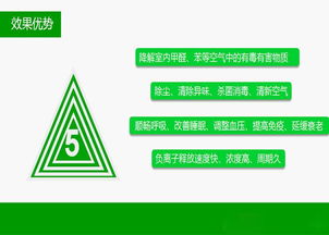 天津负离子涂料加盟怎么选 负离子涂料是骗局吗