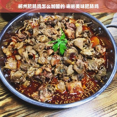 郴州肥肠鸡怎么加盟的 谢彬美味肥肠鸡