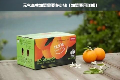 元气森林加盟需要多少钱（加盟费用详解）