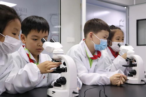 2023年速干洗脸头巾品牌排行榜，哪款才是你的心头好？