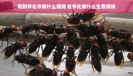 刚到怀化市做什么赚钱 在怀化做什么生意赚钱