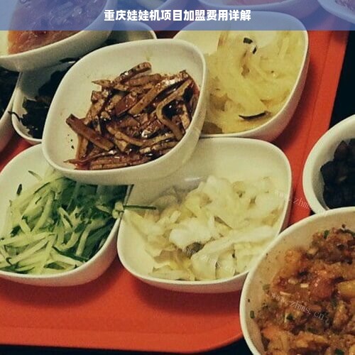 重庆娃娃机项目加盟费用详解