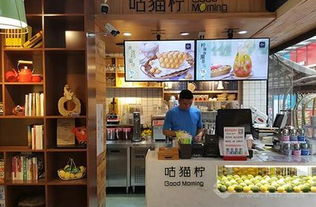 哪些品牌奶茶店加盟（奶茶市场加盟品牌推荐）