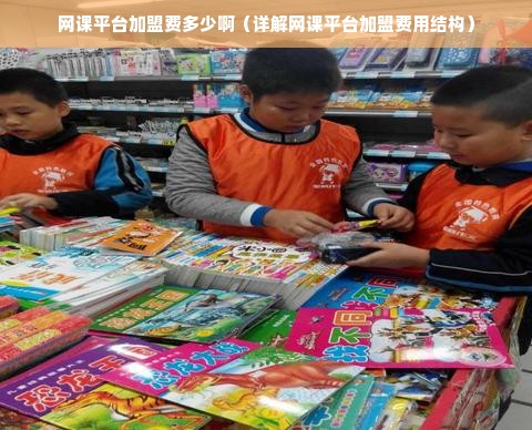 网课平台加盟费多少啊（详解网课平台加盟费用结构）