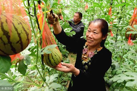 自媒体人在农村做什么赚钱 农村 自媒体真实收入