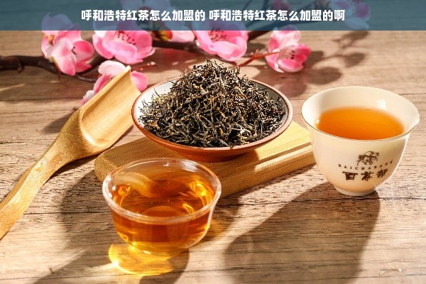 呼和浩特红茶怎么加盟的 呼和浩特红茶怎么加盟的啊