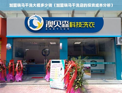 加盟嗨马干洗大概多少钱（加盟嗨马干洗店的投资成本分析）
