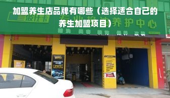 大型干洗设备品牌排行榜，揭秘行业佼佼者，助力洗衣店升级