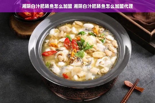 湘阴白汁肥肠鱼怎么加盟 湘阴白汁肥肠鱼怎么加盟代理