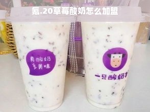氪.20草莓酸奶怎么加盟