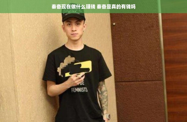 秦奋现在做什么赚钱 秦奋是真的有钱吗