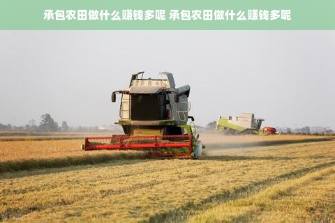 母婴领先品牌产品介绍