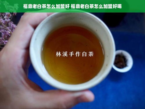 福鼎老白茶怎么加盟好 福鼎老白茶怎么加盟好喝