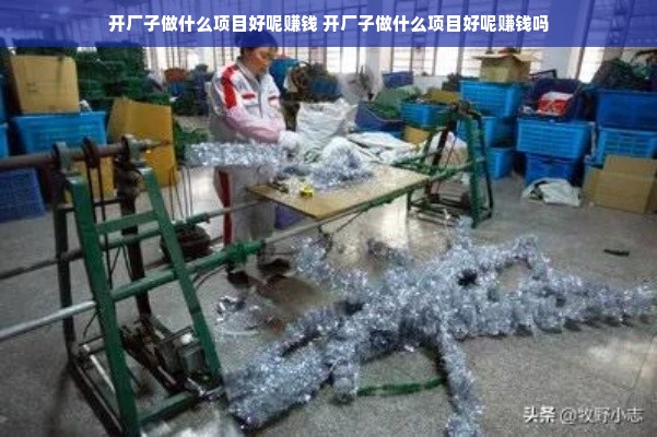 开厂子做什么项目好呢赚钱 开厂子做什么项目好呢赚钱吗
