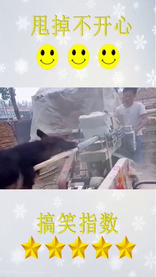 这年头做什么生意容易赚钱 这年头做什么生意容易赚钱快