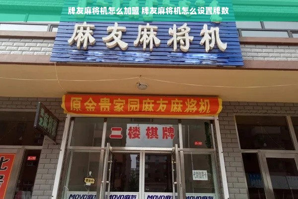 牌友麻将机怎么加盟 牌友麻将机怎么设置牌数
