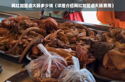 网红加盟卤大肠多少钱（详细介绍网红加盟卤大肠费用）