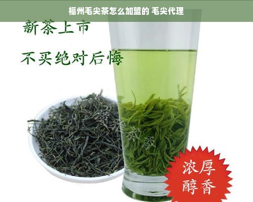 中英早教加盟，共创美好未来，携手共育英才