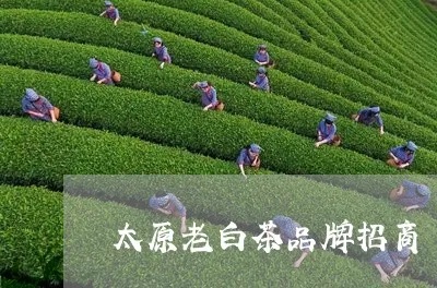 抖音月付额度提现商家指南，轻松还清你的消费