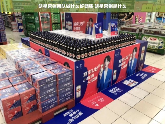 明星营销团队做什么好赚钱 明星营销是什么