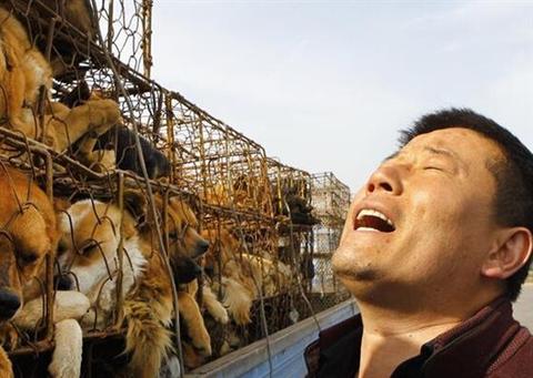 带个狗能做什么工作赚钱 带个狗能做什么工作赚钱多
