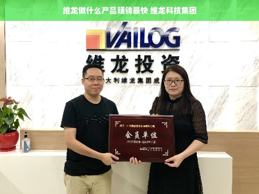 维龙做什么产品赚钱最快 维龙科技集团