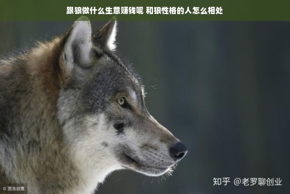 天津品牌滚筒秤厂家电话大全，选购、咨询与服务一站式解决