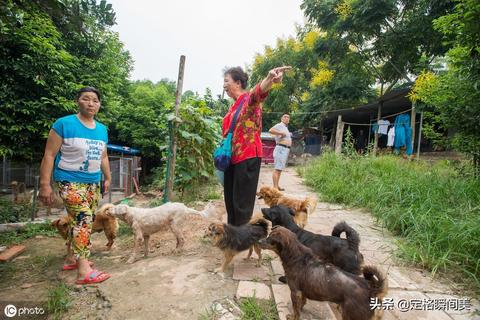 农村阿姨做什么生意好赚钱 农村阿姨做什么生意好赚钱呢
