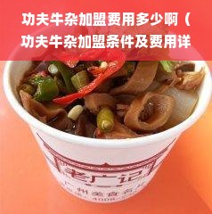 功夫牛杂加盟费用多少啊（功夫牛杂加盟条件及费用详解）