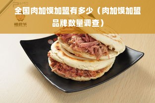 全国肉加馍加盟有多少（肉加馍加盟品牌数量调查）
