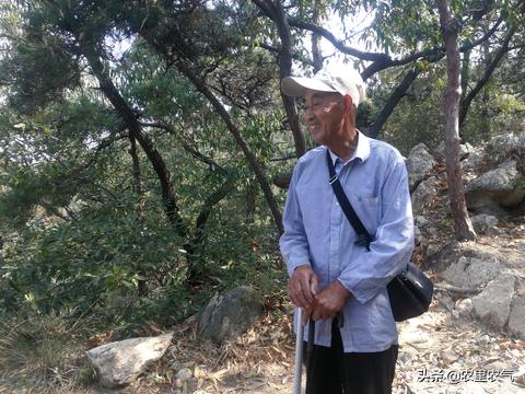 京东白条收钱能提现吗？详解白条使用规则与注意事项