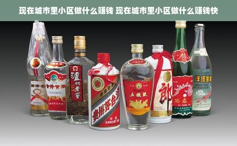 现在城市里小区做什么赚钱 现在城市里小区做什么赚钱快