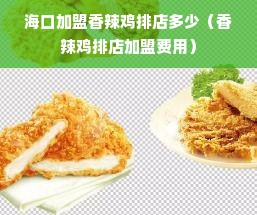 海口加盟香辣鸡排店多少（香辣鸡排店加盟费用）