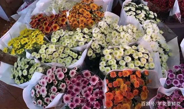 现在做什么生意卖花赚钱 现在做什么生意卖花赚钱呢