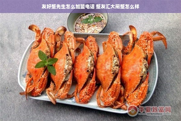 友好蟹先生怎么加盟电话 蟹友汇大闸蟹怎么样