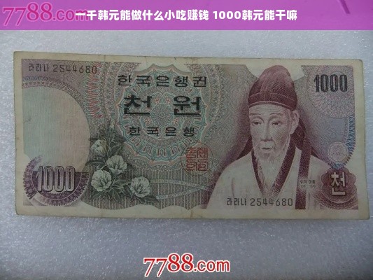 一千韩元能做什么小吃赚钱 1000韩元能干嘛