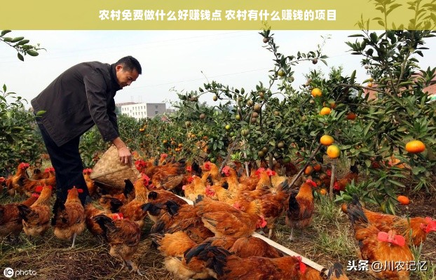 农村免费做什么好赚钱点 农村有什么赚钱的项目