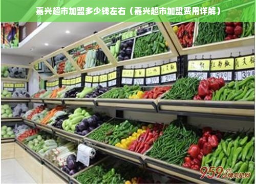嘉兴超市加盟多少钱左右（嘉兴超市加盟费用详解）