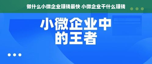 做什么小微企业赚钱最快 小微企业干什么赚钱