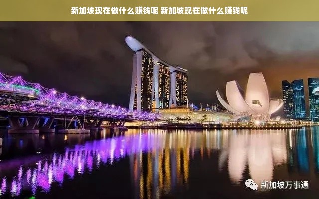 新加坡现在做什么赚钱呢 新加坡现在做什么赚钱呢
