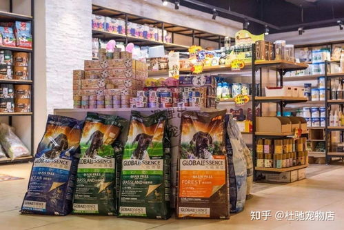江西加盟开宠物店费用多少（详解开宠物店的投资成本）
