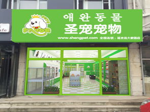 江西加盟开宠物店费用多少（详解开宠物店的投资成本）