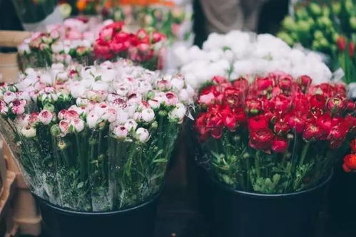 花店转行做什么好赚钱呢 花店转行做什么好赚钱呢