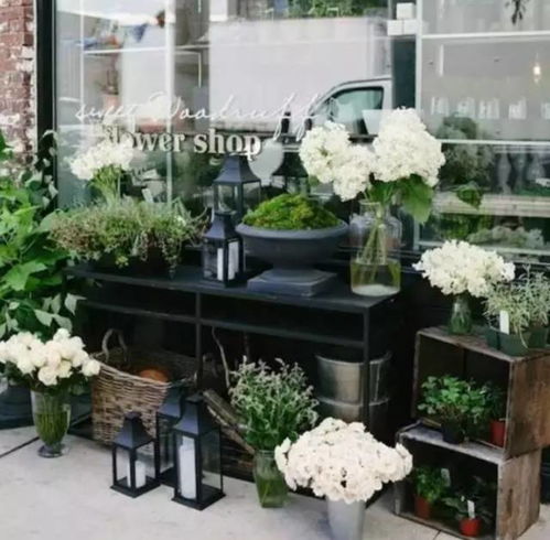 花店转行做什么好赚钱呢 花店转行做什么好赚钱呢