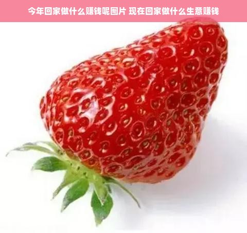 牧场兽医药品品牌大观，了解那些值得信赖的品牌