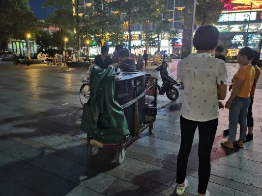 揭秘京东白条额度的奥秘，如何套现与额度降低之谜